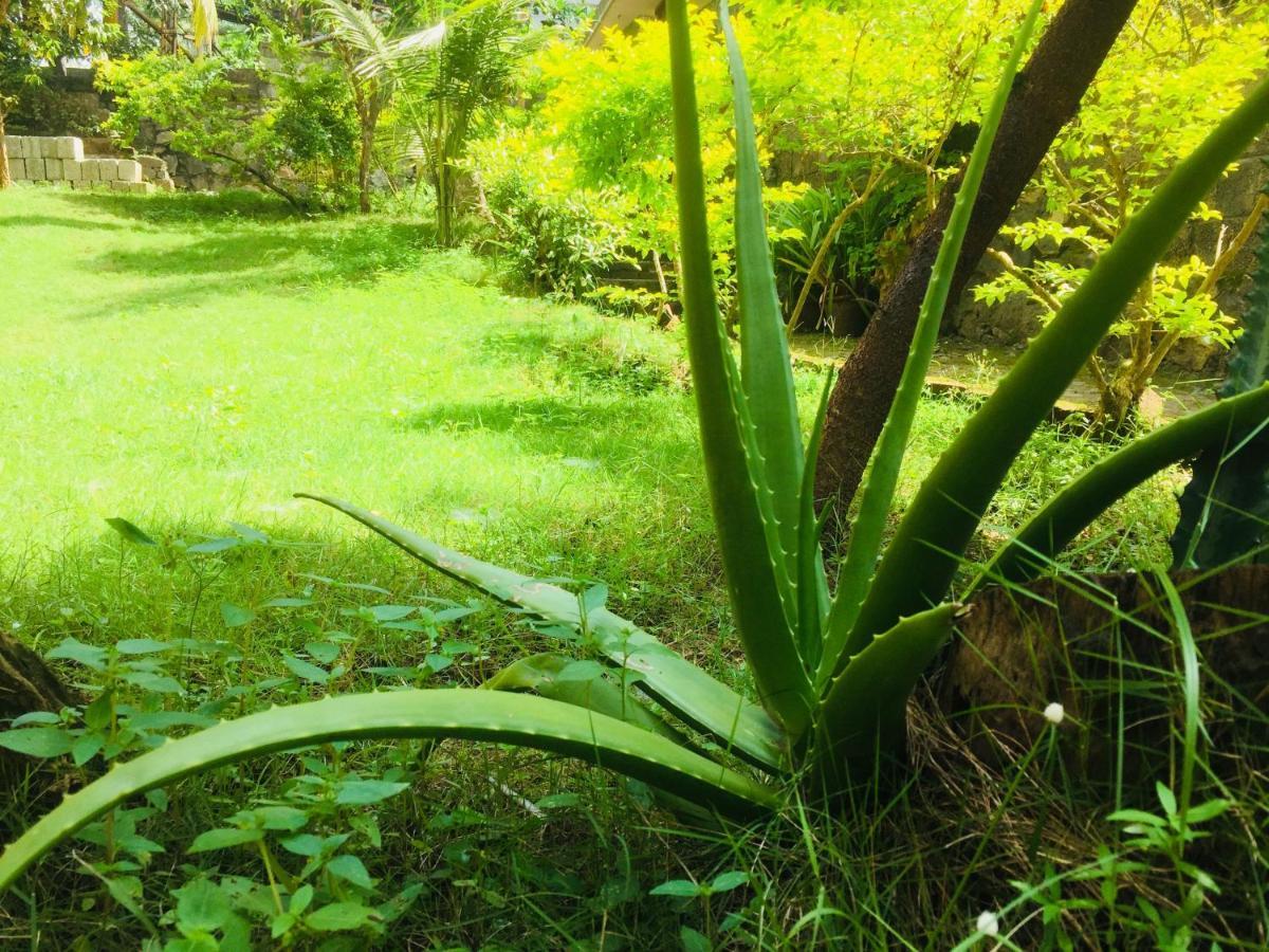 Ganesh House Ayurveda Homestay Kovalam Kültér fotó