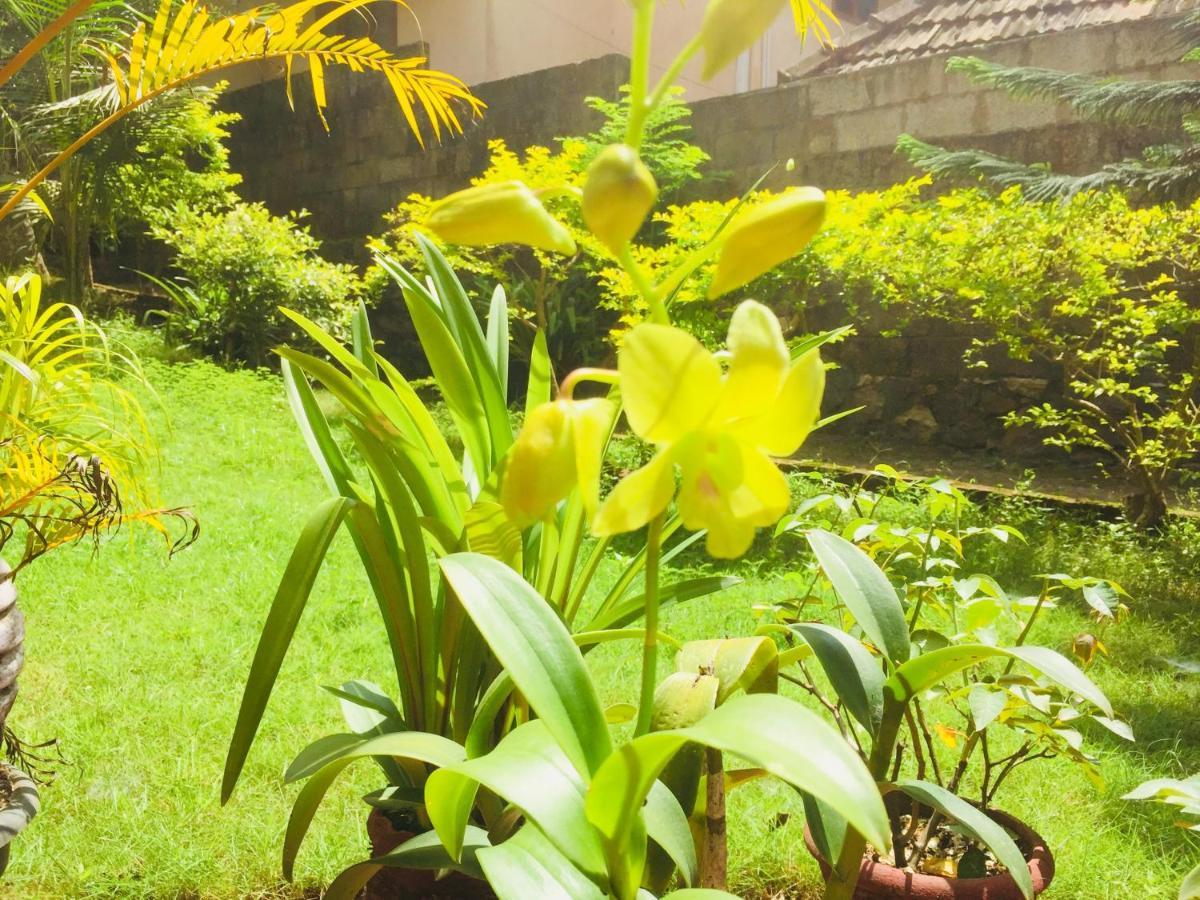 Ganesh House Ayurveda Homestay Kovalam Kültér fotó